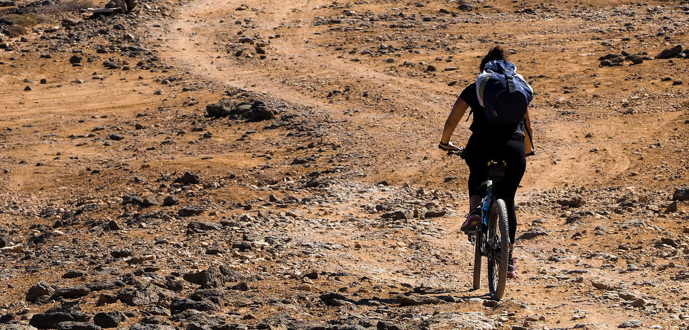 Bici MTB