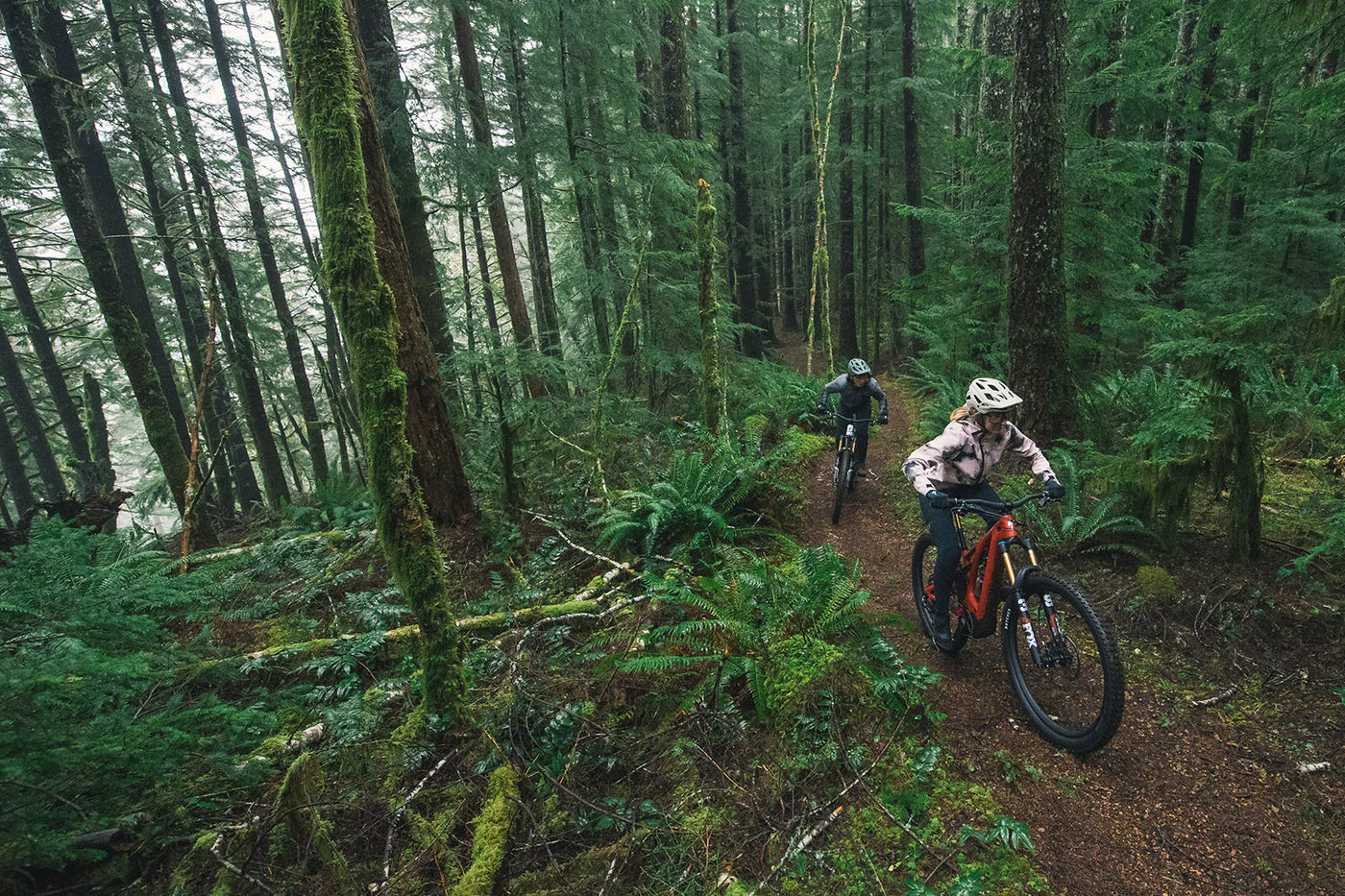 E-bike Specialized