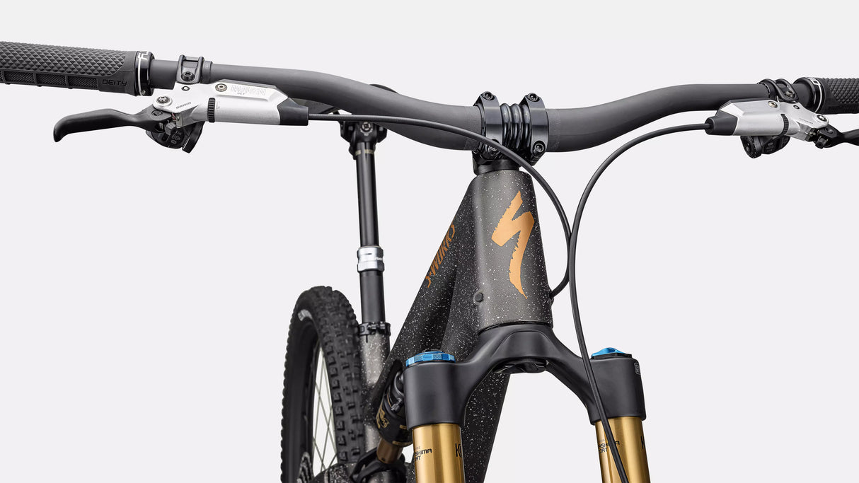 SPECIALIZED S-WORKS STUMPJUMPER 15