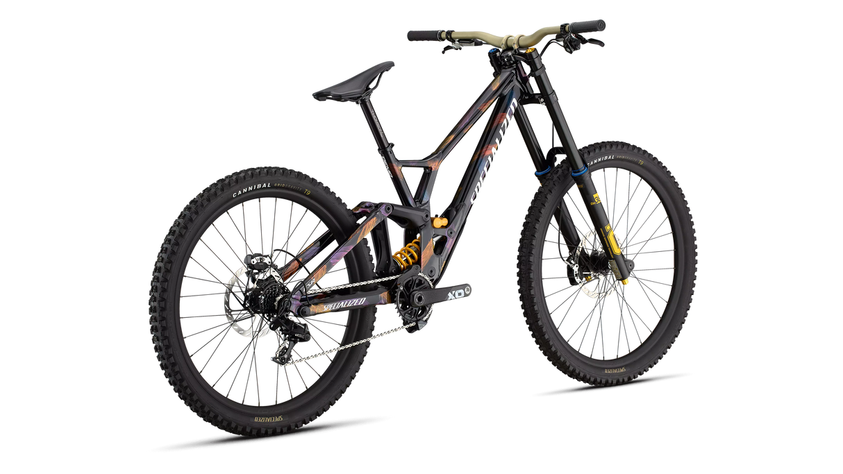Specialized Demo Race