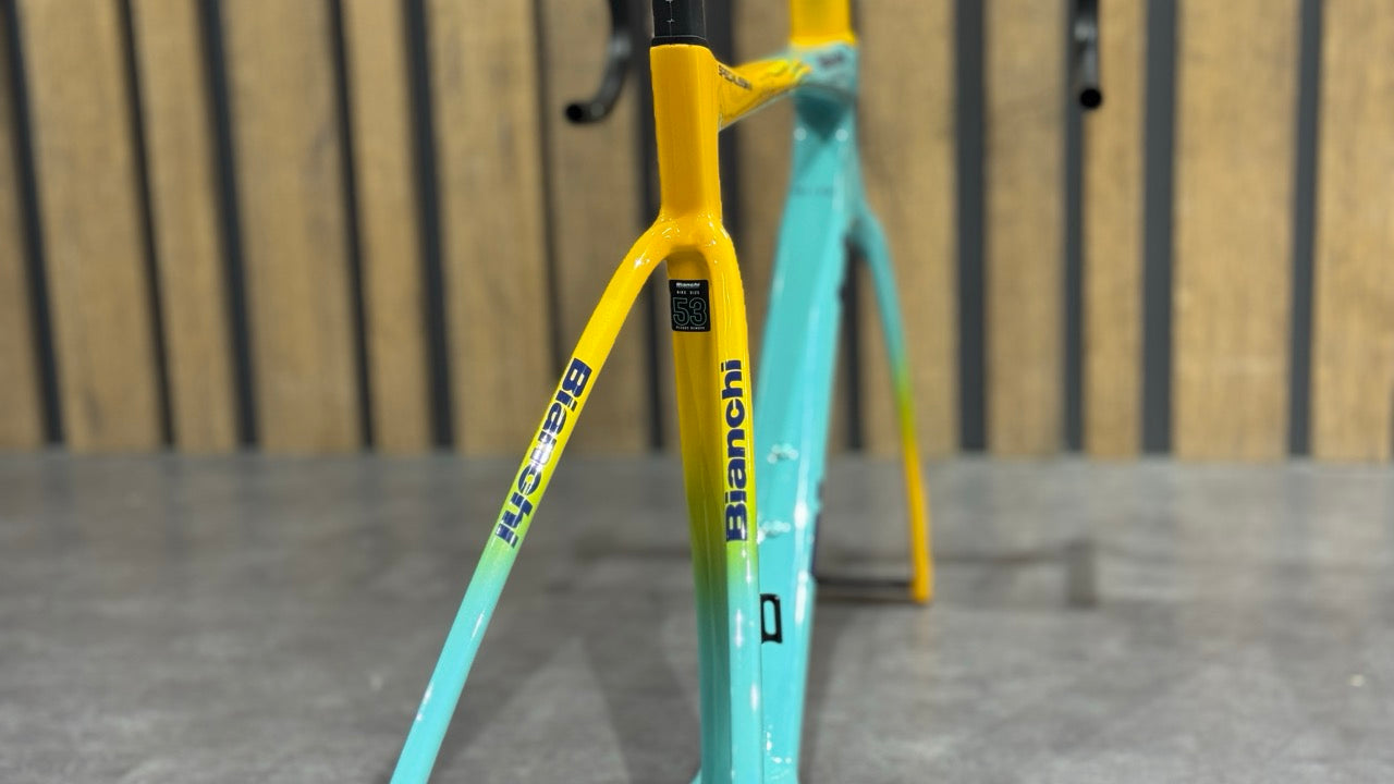 Kit Cadre Bianchi Specialissima RC Pantani Édition Limitée