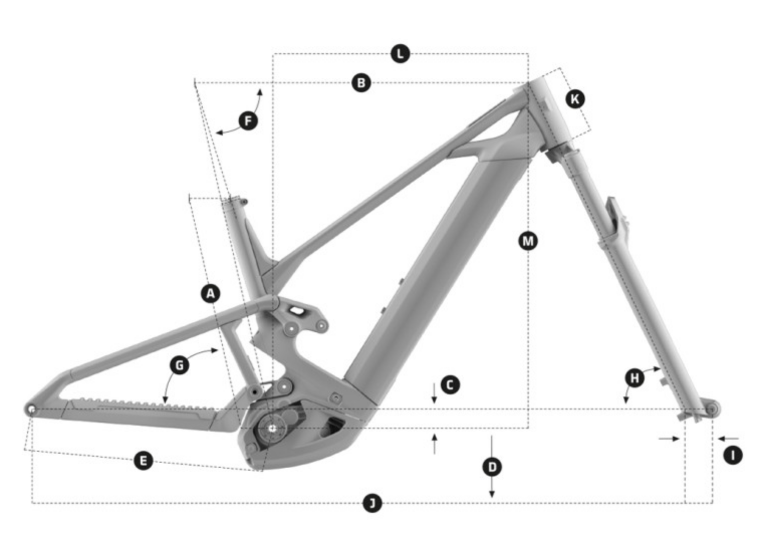 MONDRAKER SCREE RR