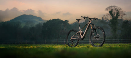 Mondraker Zendit
