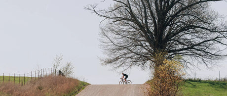 Specialized Diverge 4 – guida alla collezione (gravel racing &amp; adventure)