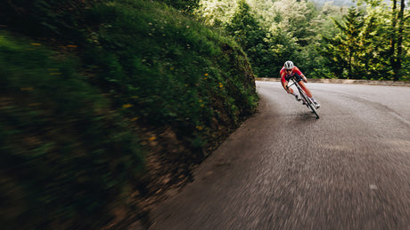 Specialized Tarmac SL8 — guida alla collezione (racing road)