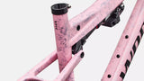 KIT TELAIO SPECIALIZED S-WORKS EPIC 9