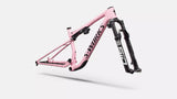 KIT TELAIO SPECIALIZED S-WORKS EPIC 9