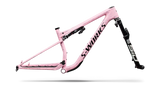 KIT TELAIO SPECIALIZED S-WORKS EPIC 9