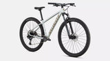 SPECIALIZED ROCKHOPPER EXPERT