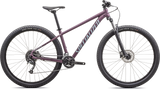 SPECIALIZED ROCKHOPPER 29 2025