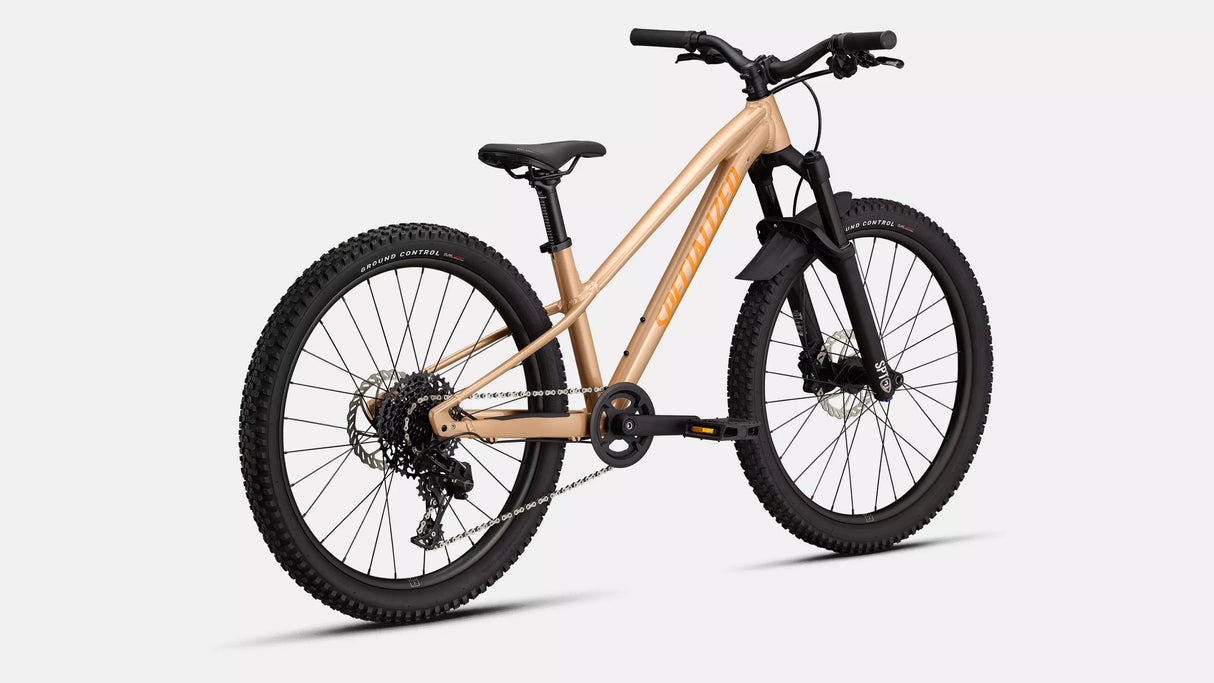 SPECIALIZED STATUS 170 2