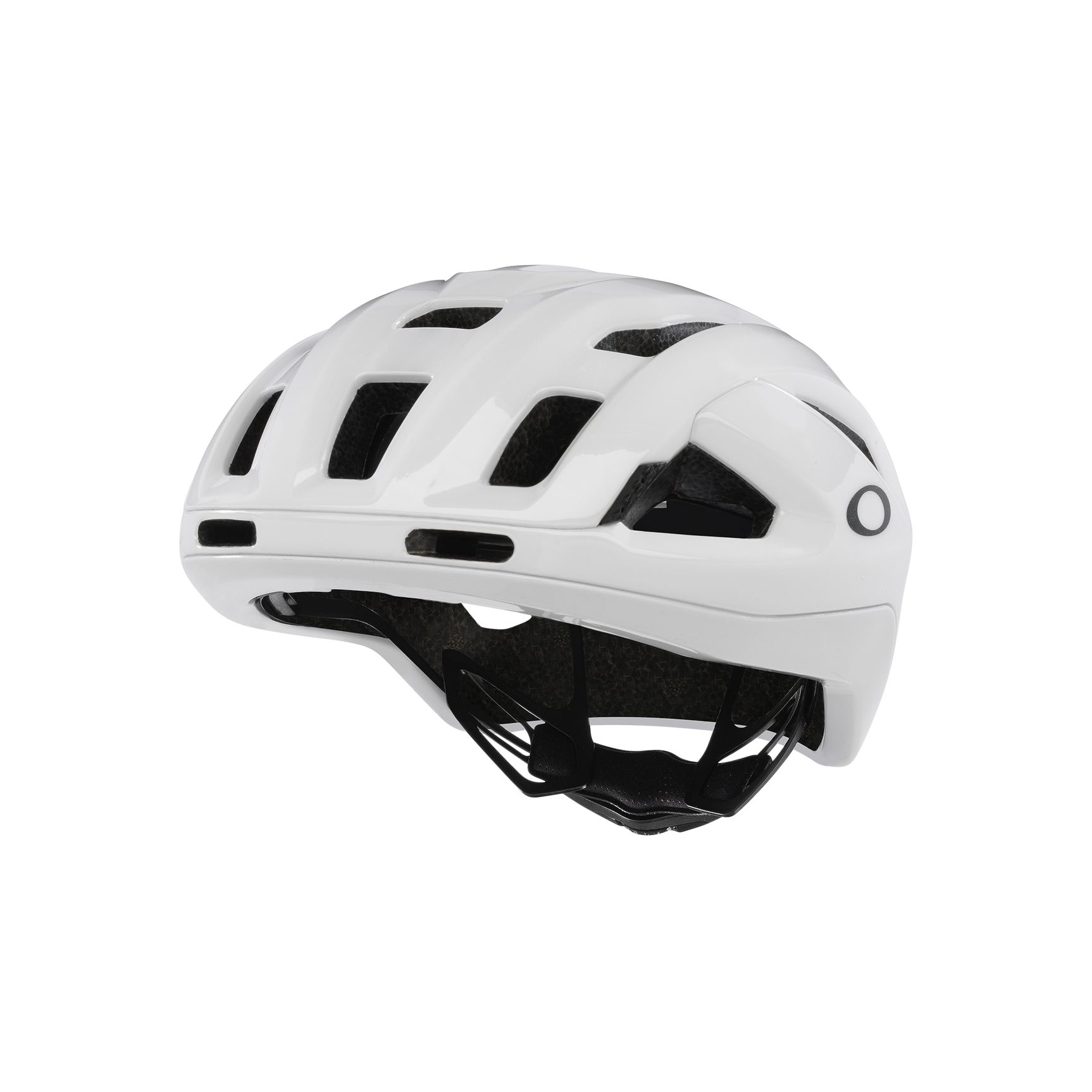CASCO OAKLEY ARO3 ENDURANCE