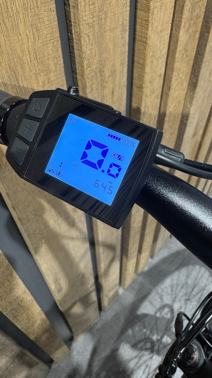 Trekking-E-Bike Eleglide C1 ST Gr. L - Usato
