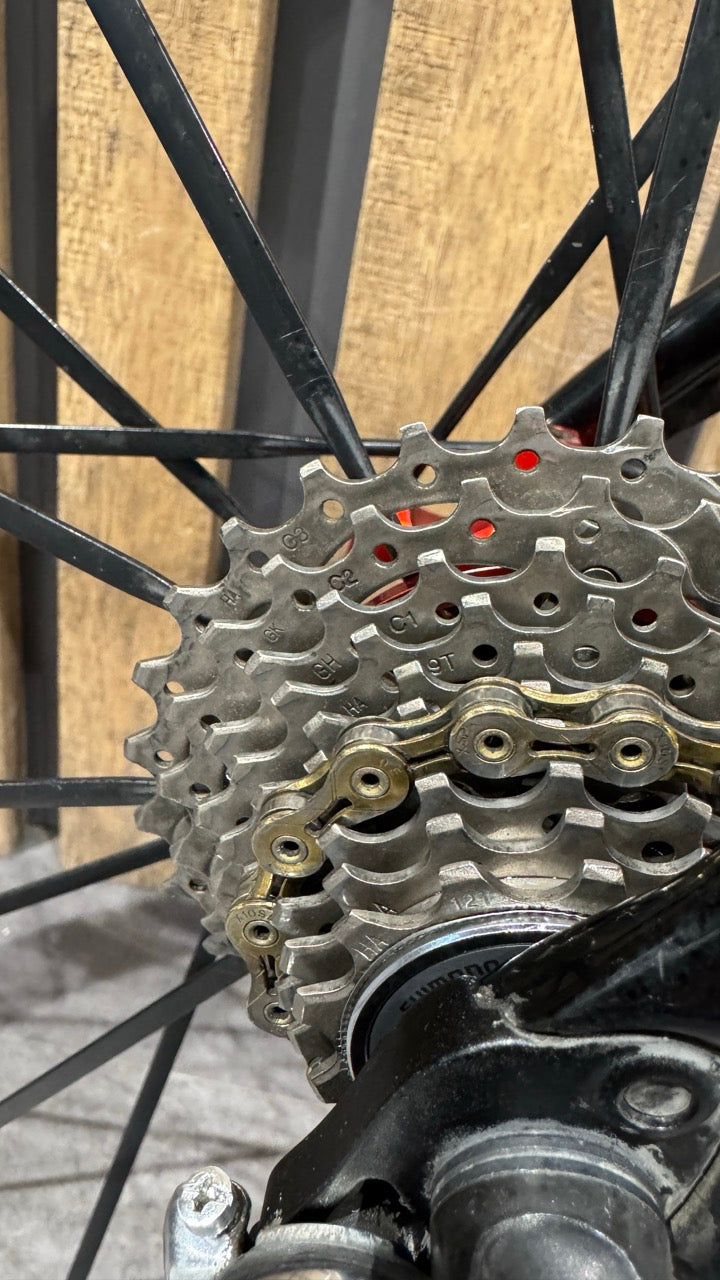 Bianchi Arcadex Comp Size M - Demo