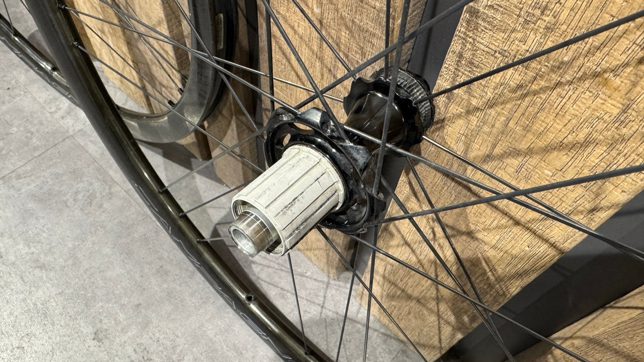 Campagnolo Bora WTO 33 C19 Disc Laufräder - Usato