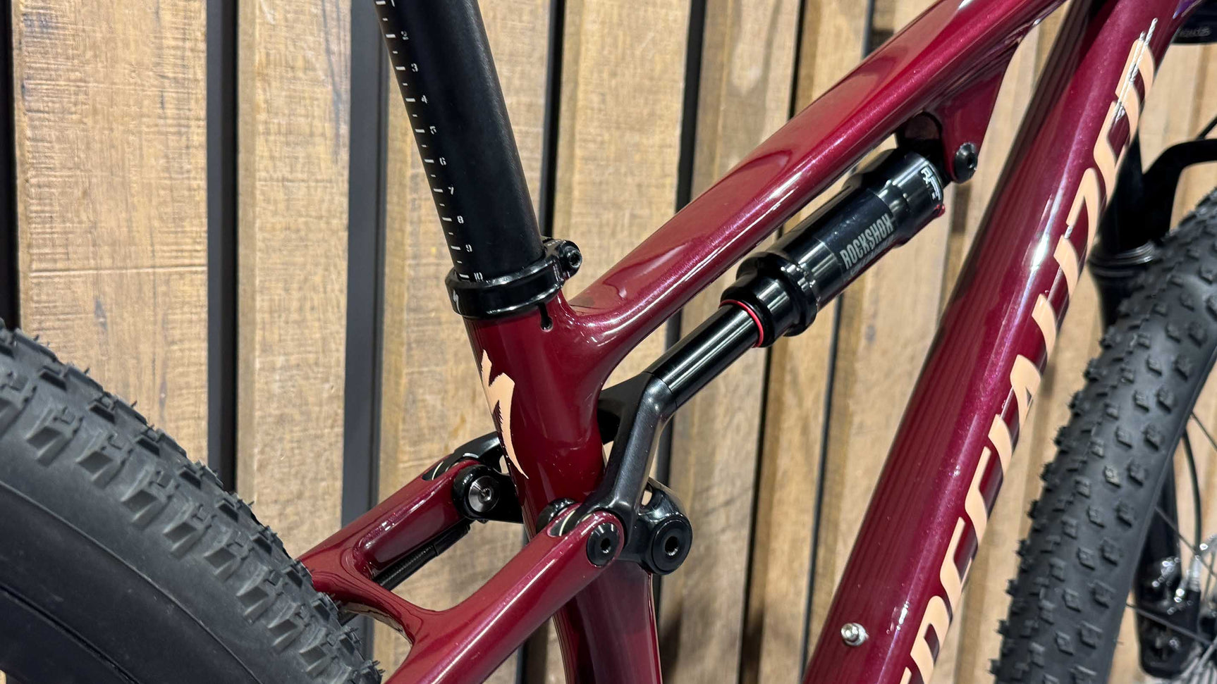 Specialized Epic Evo Expert Gr. M - Usato