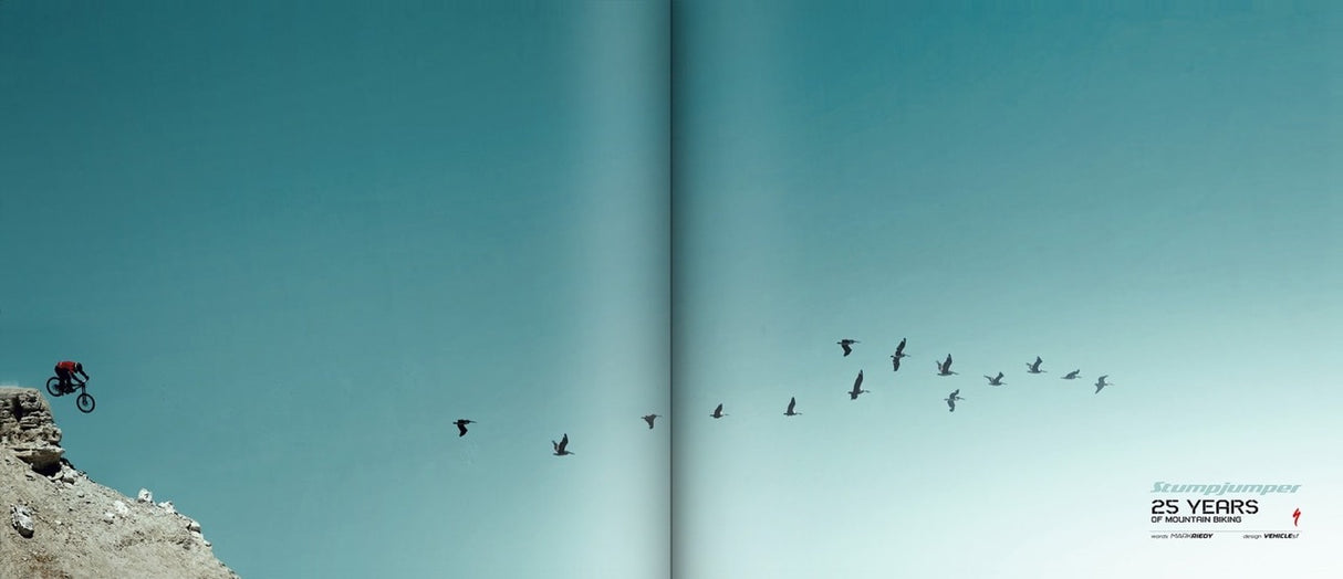 Libro Stumpjumper 25 anni di mountain biking