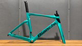Bianchi OLTRE RC Disc frame kit Officina Bianchi Miami Drip